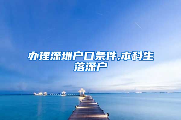 办理深圳户口条件,本科生落深户