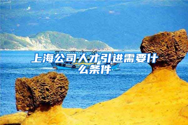 上海公司人才引进需要什么条件