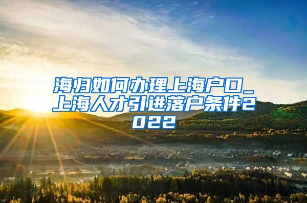 海归如何办理上海户口_上海人才引进落户条件2022