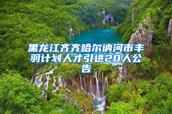 黑龙江齐齐哈尔讷河市丰羽计划人才引进20人公告