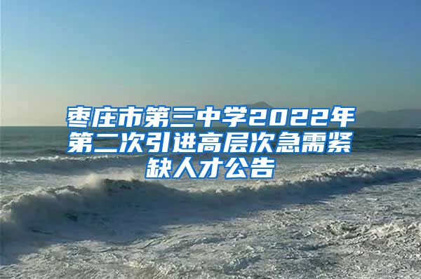 枣庄市第三中学2022年第二次引进高层次急需紧缺人才公告