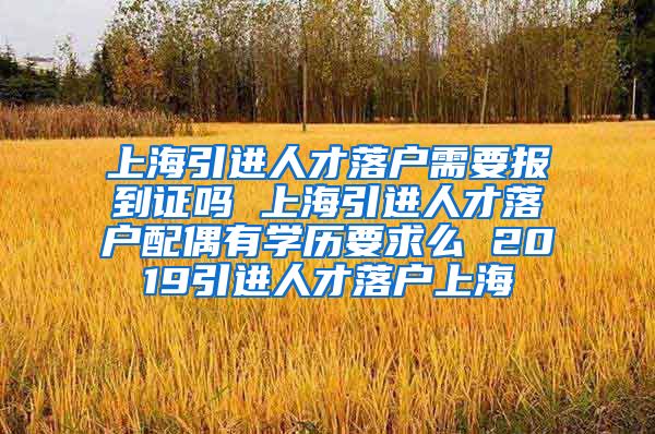 上海引进人才落户需要报到证吗 上海引进人才落户配偶有学历要求么 2019引进人才落户上海