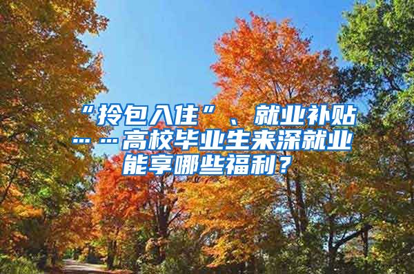 “拎包入住”、就业补贴……高校毕业生来深就业能享哪些福利？