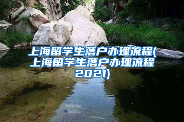 上海留学生落户办理流程(上海留学生落户办理流程2021)