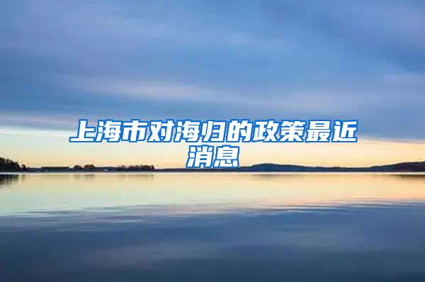 上海市对海归的政策最近消息