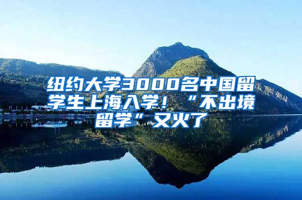 纽约大学3000名中国留学生上海入学！“不出境留学”又火了