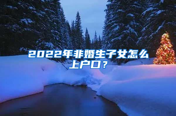 2022年非婚生子女怎么上户口？