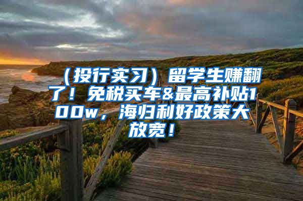 （投行实习）留学生赚翻了！免税买车&最高补贴100w，海归利好政策大放宽！