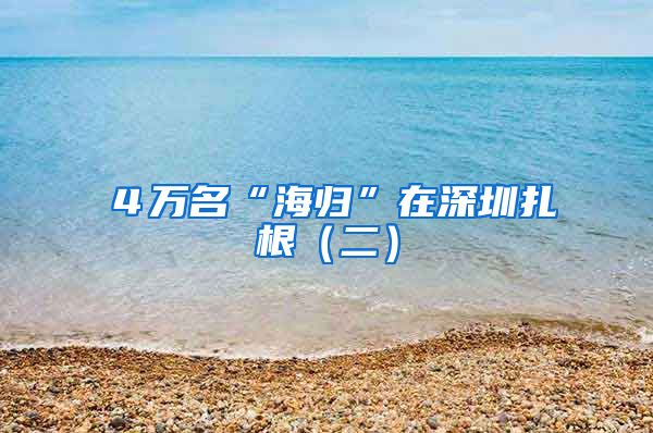 ４万名“海归”在深圳扎根（二）