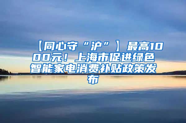 【同心守“沪”】最高1000元！上海市促进绿色智能家电消费补贴政策发布