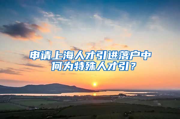 申请上海人才引进落户中 何为特殊人才引？