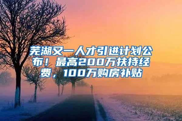 芜湖又一人才引进计划公布！最高200万扶持经费，100万购房补贴