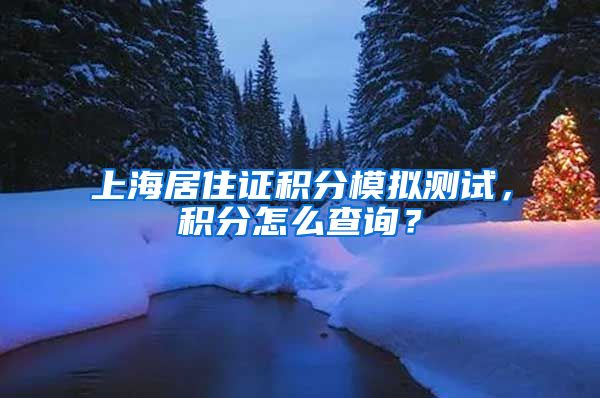 上海居住证积分模拟测试，积分怎么查询？