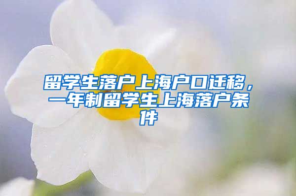 留学生落户上海户口迁移，一年制留学生上海落户条件