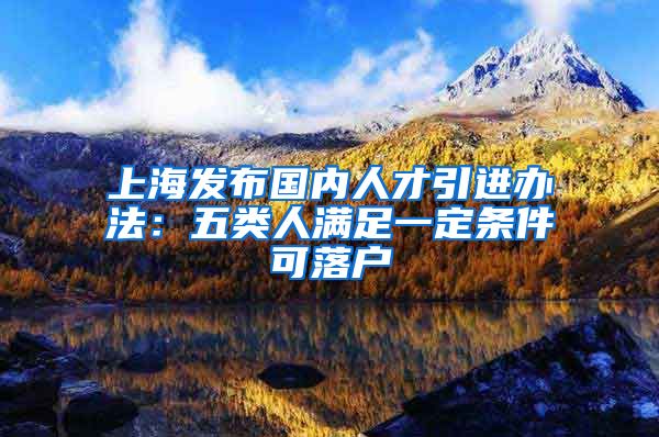 上海发布国内人才引进办法：五类人满足一定条件可落户
