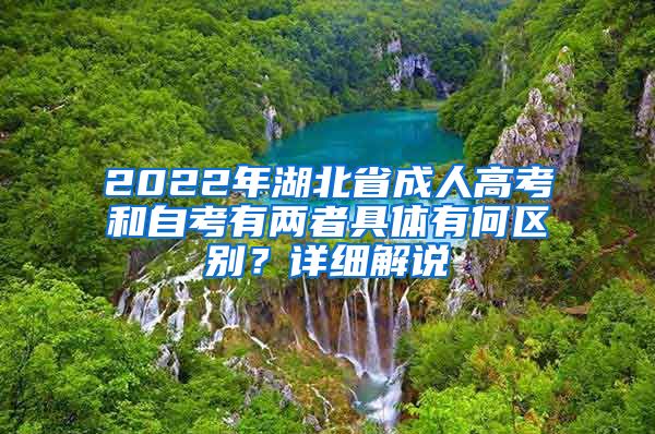 2022年湖北省成人高考和自考有两者具体有何区别？详细解说