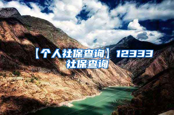 【个人社保查询】12333社保查询