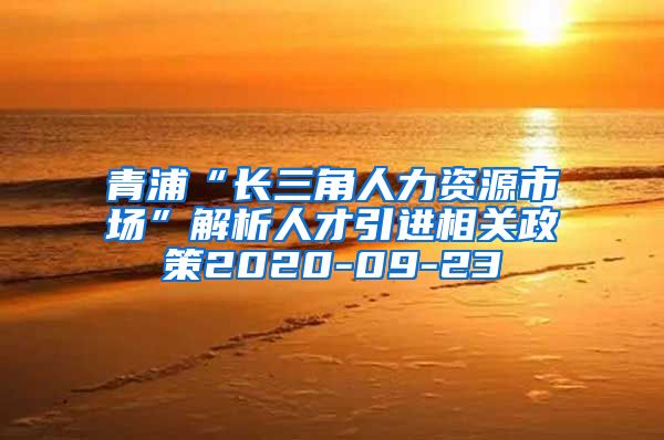 青浦“长三角人力资源市场”解析人才引进相关政策2020-09-23