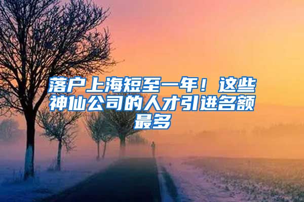 落户上海短至一年！这些神仙公司的人才引进名额最多