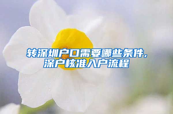 转深圳户口需要哪些条件,深户核准入户流程