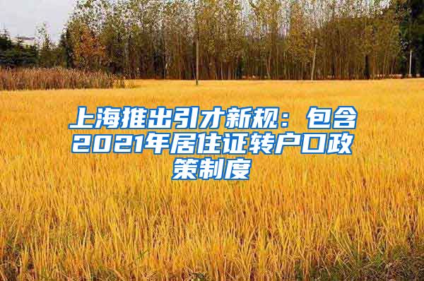 上海推出引才新规：包含2021年居住证转户口政策制度