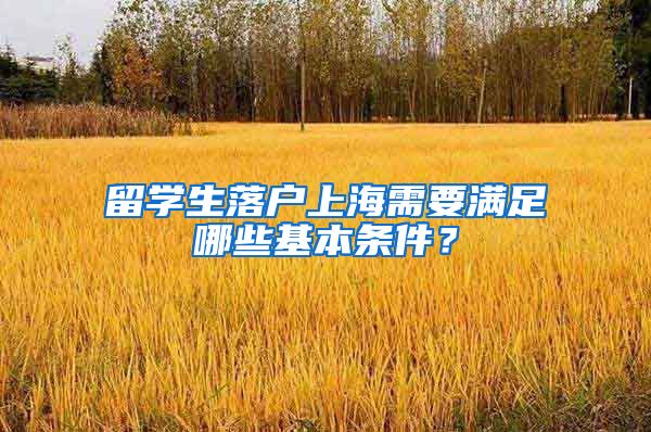 留学生落户上海需要满足哪些基本条件？