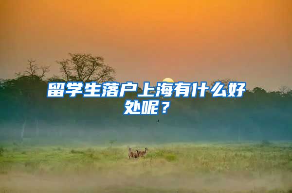 留学生落户上海有什么好处呢？