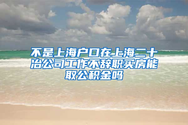 不是上海户口在上海二十冶公司工作不辞职买房能取公积金吗