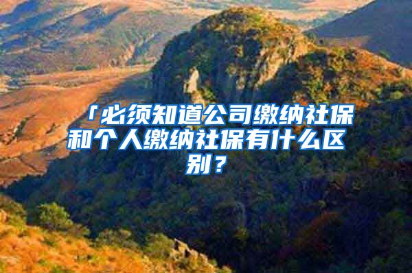 「必须知道公司缴纳社保和个人缴纳社保有什么区别？