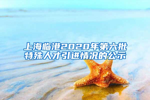 上海临港2020年第六批特殊人才引进情况的公示