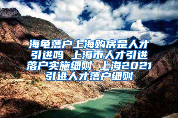 海龟落户上海购房是人才引进吗 上海市人才引进落户实施细则 上海2021引进人才落户细则