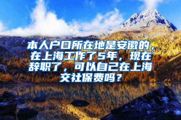 本人户口所在地是安徽的，在上海工作了5年，现在辞职了，可以自己在上海交社保费吗？