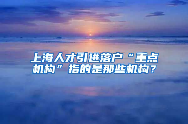 上海人才引进落户“重点机构”指的是那些机构？