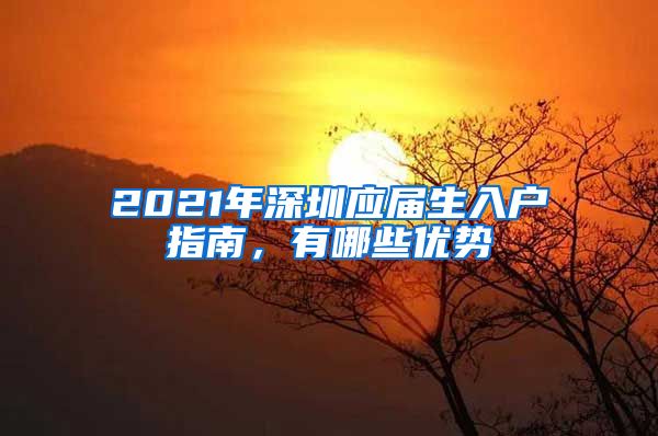 2021年深圳应届生入户指南，有哪些优势