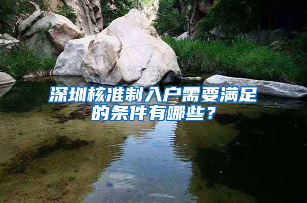 深圳核准制入户需要满足的条件有哪些？