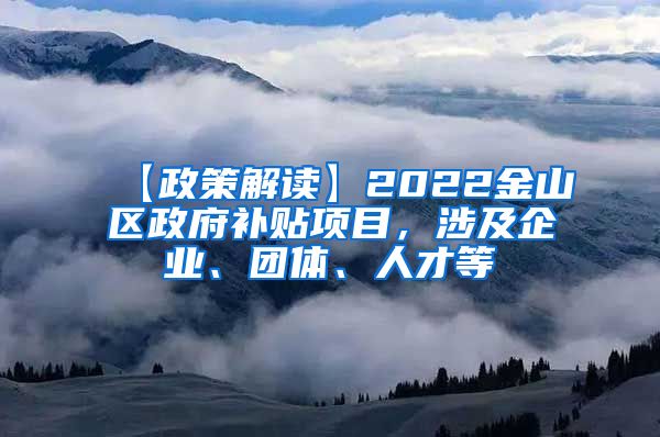 【政策解读】2022金山区政府补贴项目，涉及企业、团体、人才等