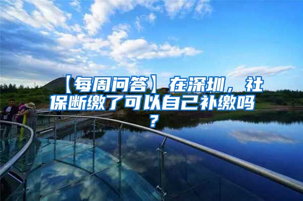 【每周问答】在深圳，社保断缴了可以自己补缴吗？