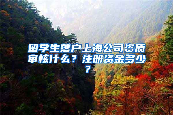 留学生落户上海公司资质审核什么？注册资金多少？