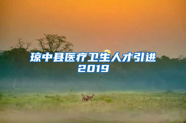 琼中县医疗卫生人才引进2019