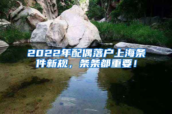 2022年配偶落户上海条件新规，条条都重要！