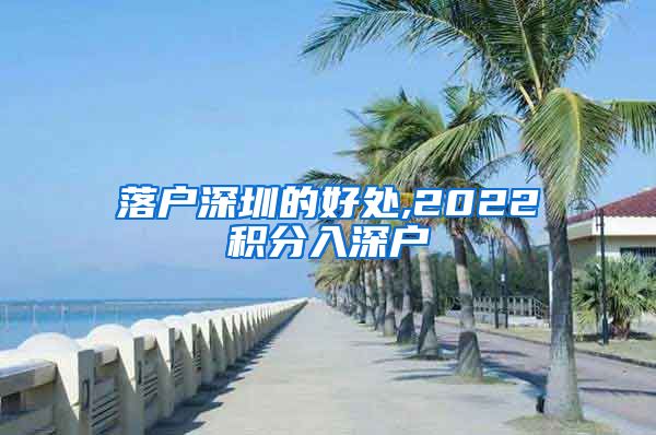 落户深圳的好处,2022积分入深户