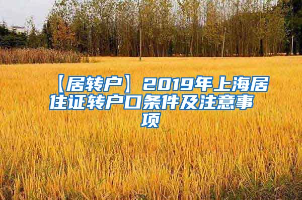 【居转户】2019年上海居住证转户口条件及注意事项