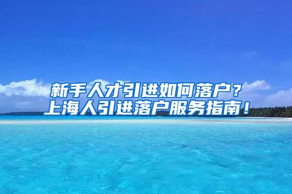 新手人才引进如何落户？上海人引进落户服务指南！