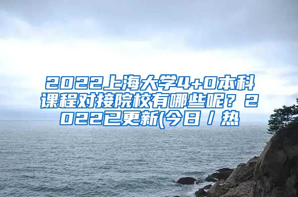 2022上海大学4+0本科课程对接院校有哪些呢？2022已更新(今日／热