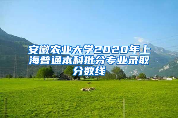 安徽农业大学2020年上海普通本科批分专业录取分数线