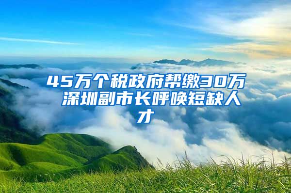 45万个税政府帮缴30万 深圳副市长呼唤短缺人才