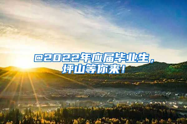 @2022年应届毕业生，坪山等你来！