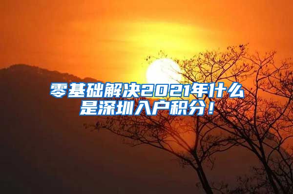 零基础解决2021年什么是深圳入户积分！