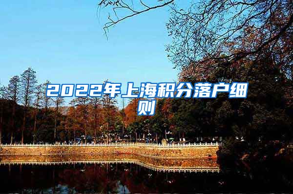 2022年上海积分落户细则