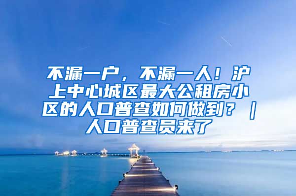 不漏一户，不漏一人！沪上中心城区最大公租房小区的人口普查如何做到？｜人口普查员来了